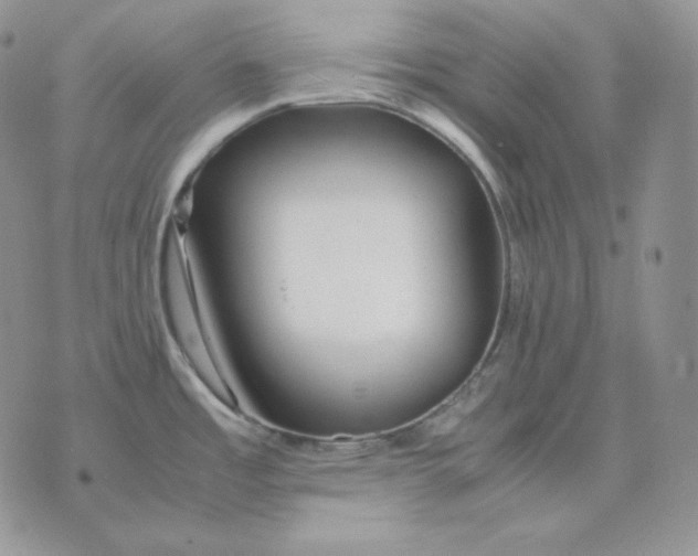 X0000075411485200609291654