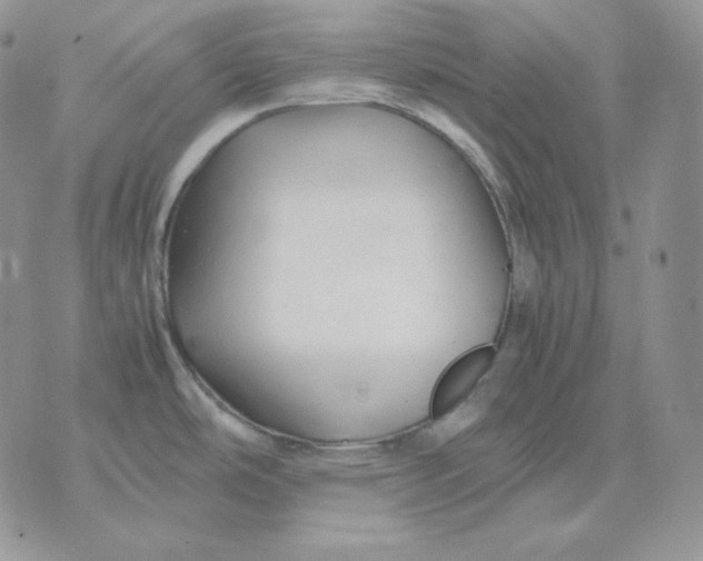 X0000075411486200609291654