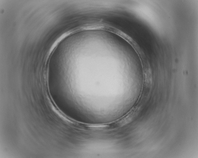 X0000075411487200609291654