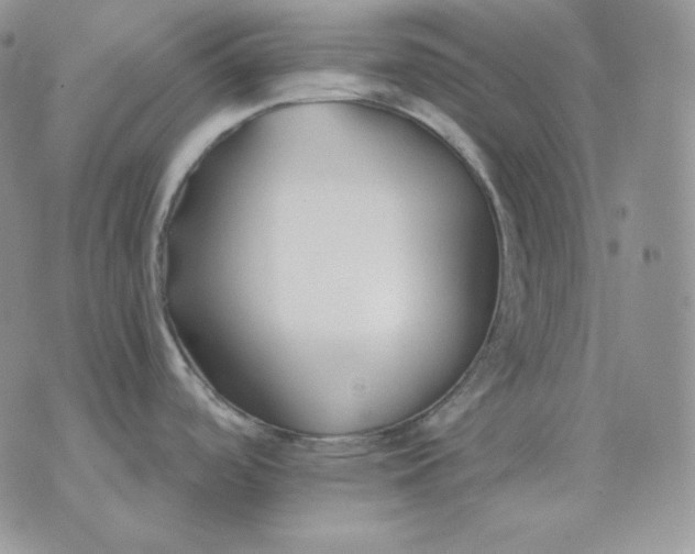 X0000075411488200609291654