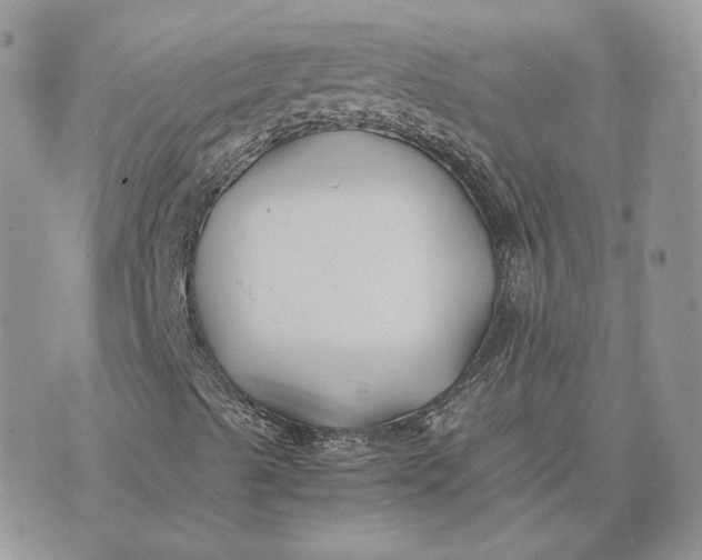 X0000075411489200609291653