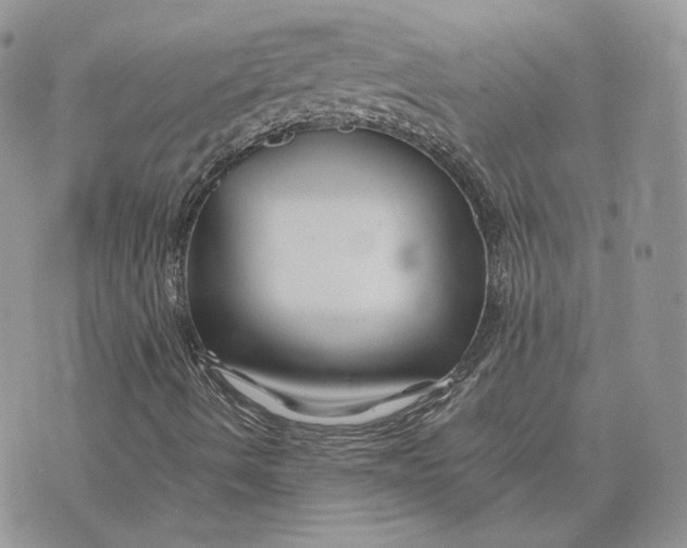 X0000075411490200609291653