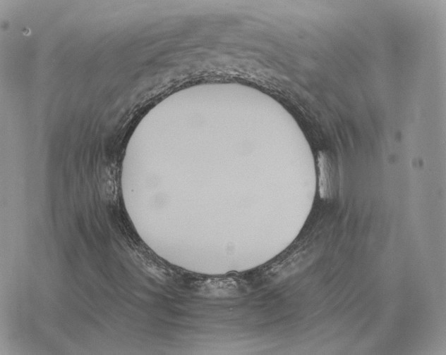 X0000075411491200609291653