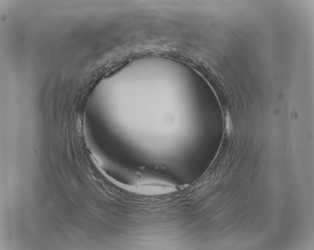 X0000075411492200609291653