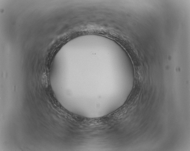 X0000075411493200609291653