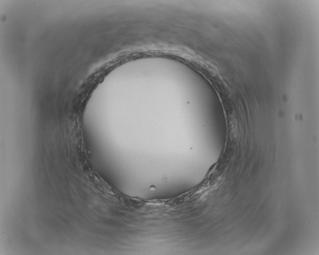 X0000075411494200609291653