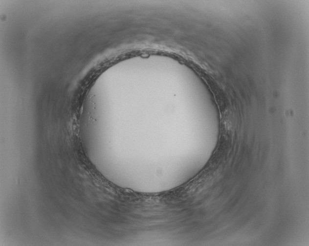 X0000075411495200609291653