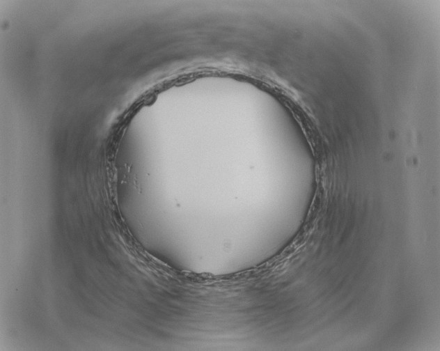 X0000075411496200609291653