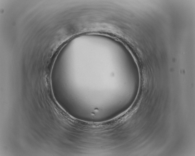 X0000075411497200609291653