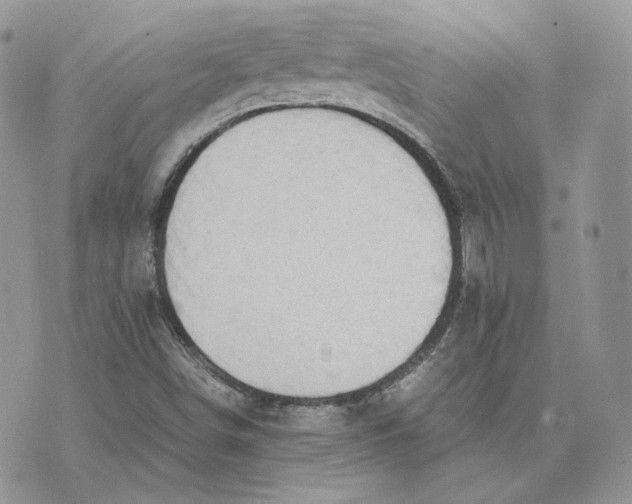 X0000075411498200609291653