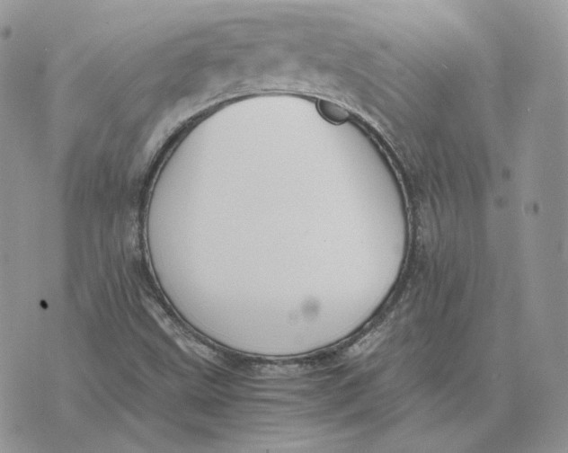 X0000075411499200609291653