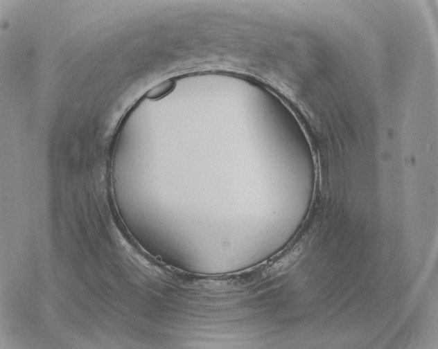 X0000075411500200609291653