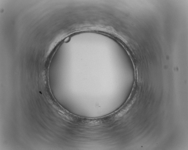 X0000075411501200609291653