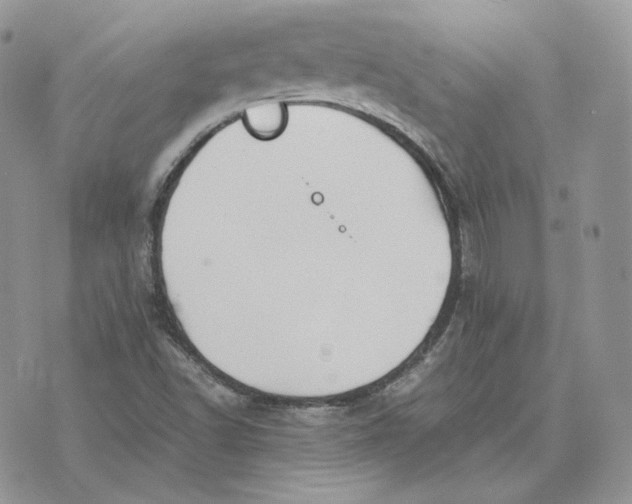 X0000075411502200609291653