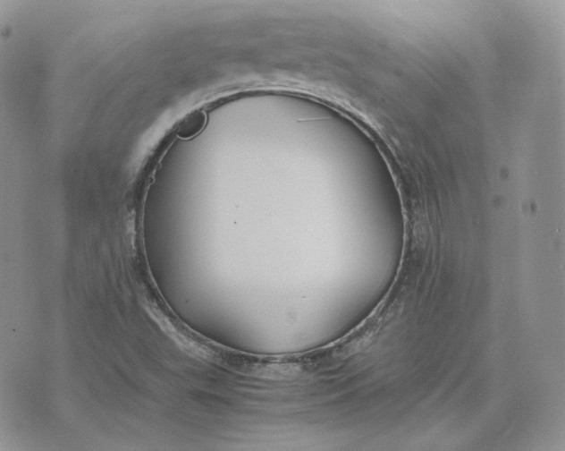 X0000075411503200609291653