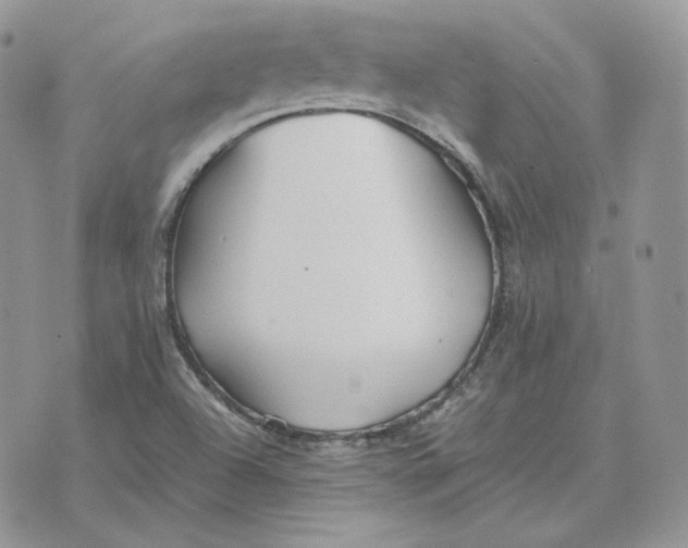 X0000075411504200609291653