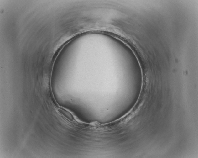 X0000075411505200609291653