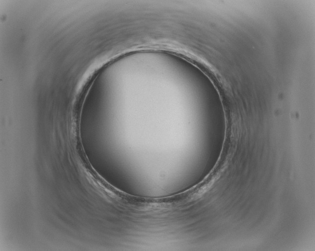 X0000075411506200609291653