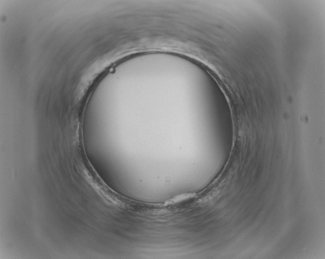 X0000075411507200609291653