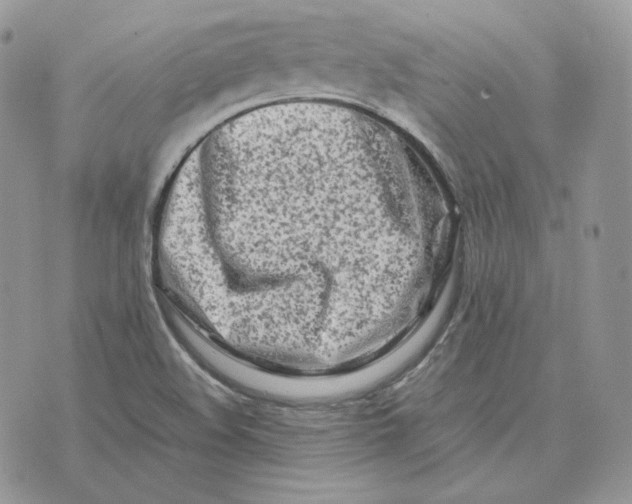 X0000075411508200609291653