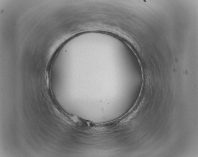 X0000075411509200609291653