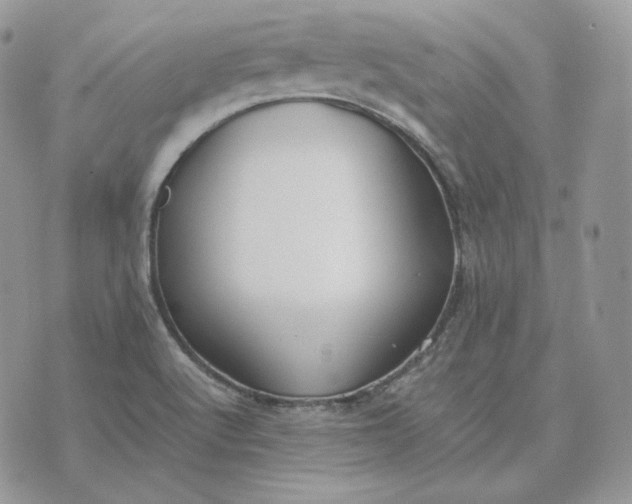 X0000075411512200609291653