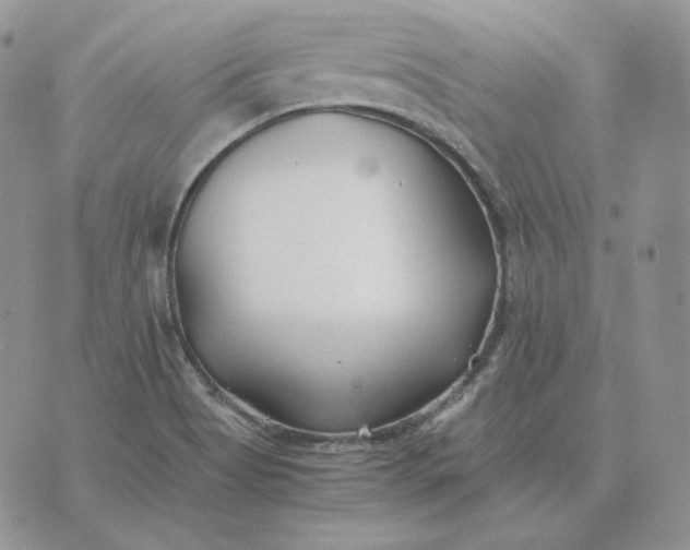 X0000075411513200609291653