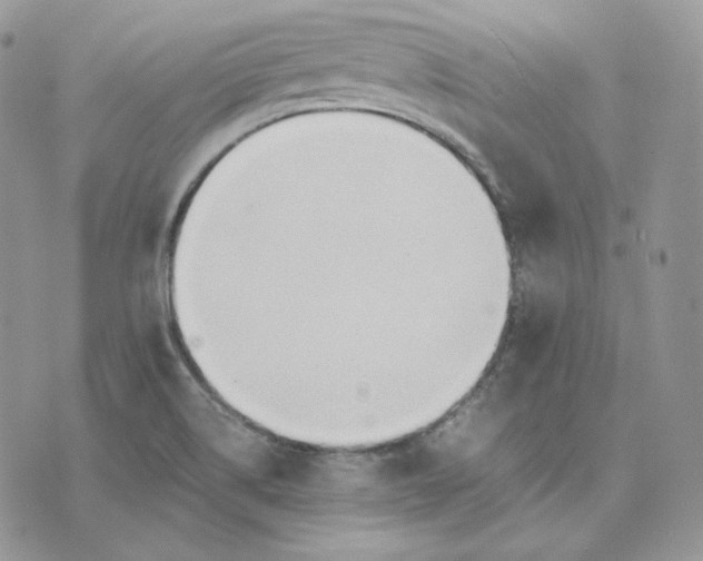 X0000075411514200609291653