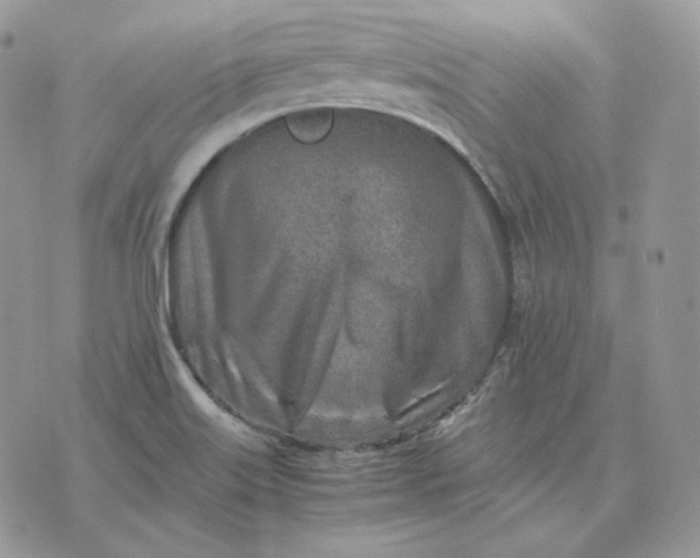 X0000075411515200609291653