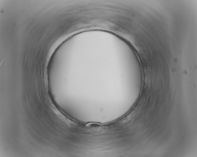 X0000075411516200609291653