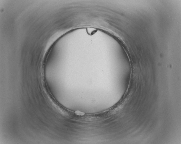 X0000075411517200609291653