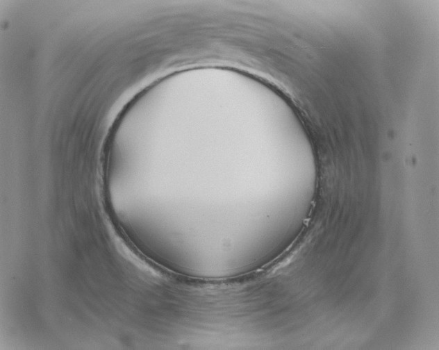 X0000075411518200609291653