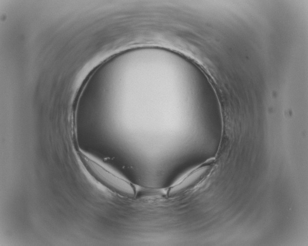 X0000075411519200609291653