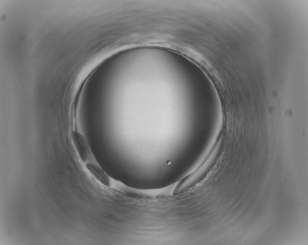 X0000075411520200609291653