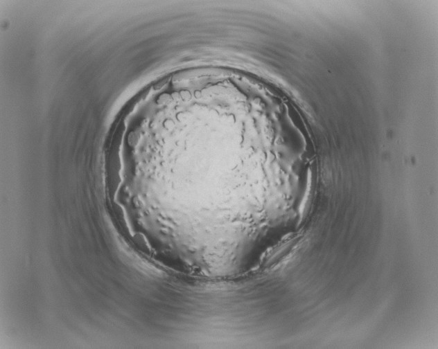 X0000075411522200609291653