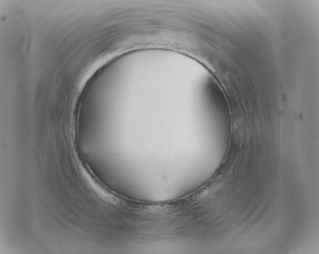 X0000075411523200609291653