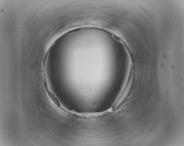 X0000075411524200609291653