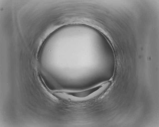 X0000075411525200609291653