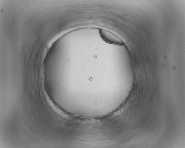 X0000075411526200609291653