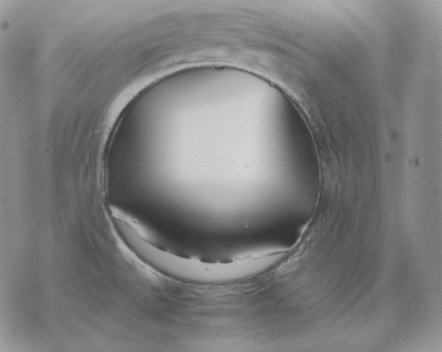 X0000075411527200609291653