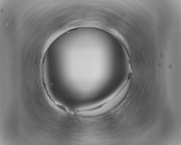 X0000075411528200609291653