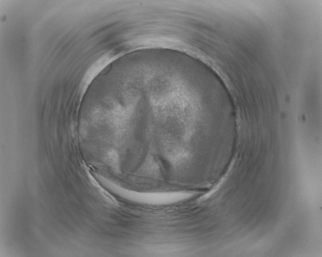 X0000075411529200609291653