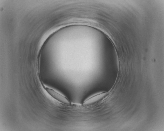 X0000075411531200609291653