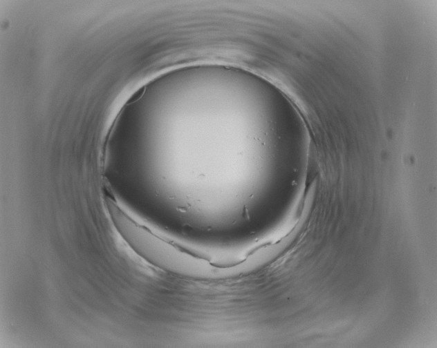 X0000075411532200609291653