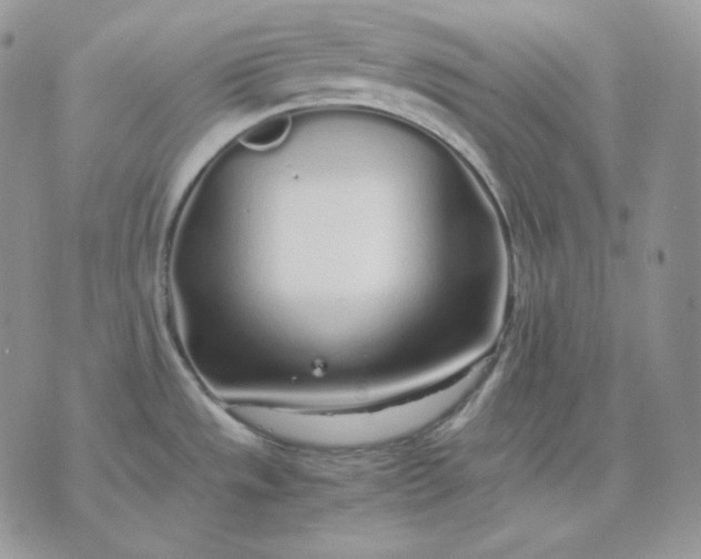 X0000075411533200609291653