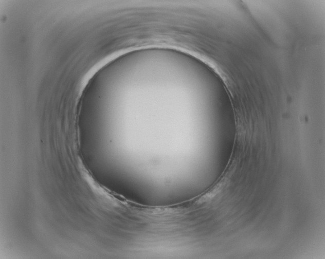 X0000075411534200609291653