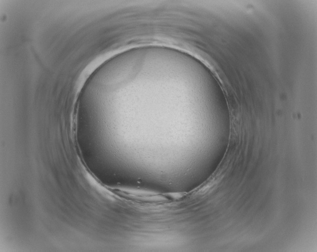 X0000075411535200609291653