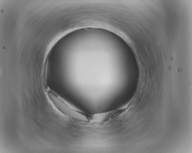 X0000075411536200609291653