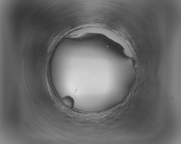 X0000075410001200610062009