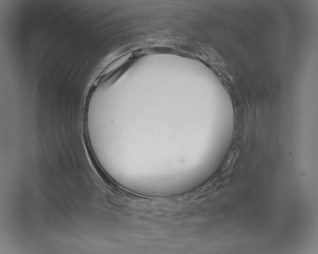 X0000075410003200610062009